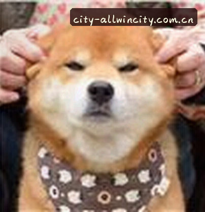 周杰